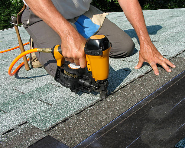 Best Roof Gutter Cleaning  in Nicollet, MN