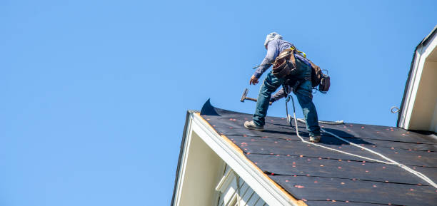 Best Emergency Roof Repair  in Nicollet, MN